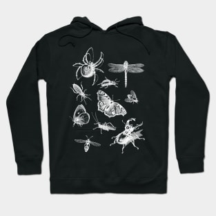 Dramabite Vintage retro scientific bugs insect collection entomologist Hoodie